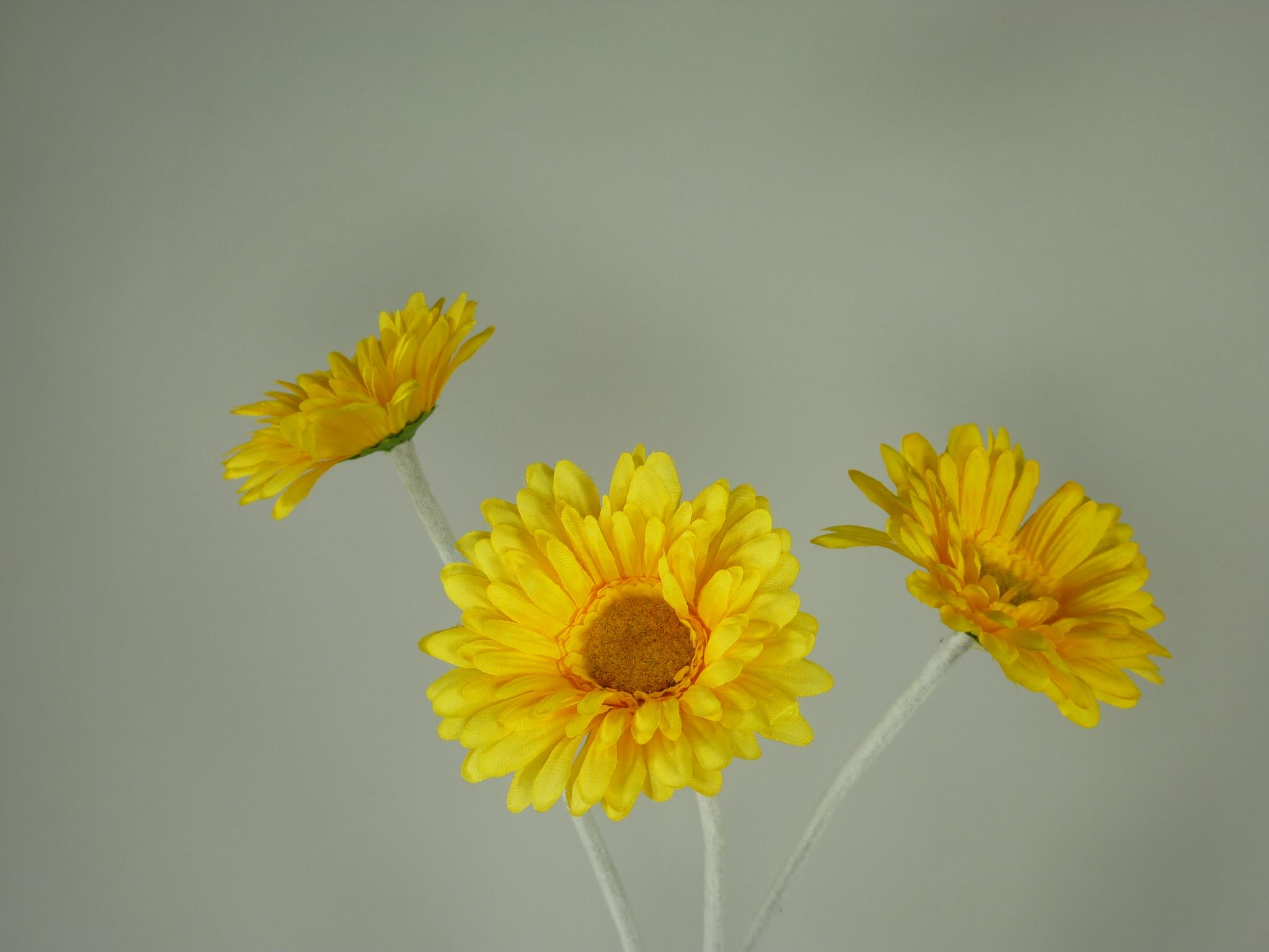 3 x Gerbera Farbe gelb Kunstblume Blumenstrauß Blumen Dekopflanze