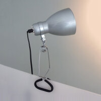 Moderne flexible Klemmleuchte Work E14-40W 3 Farben Kopfgelenk Leuchte Lampe silber