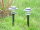 2 x Solarleuchte mit Erdspieß im Set "Modell 14" Solarlampe Gartenbeleuchtung