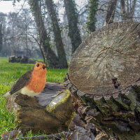 Solarleuchte Vogel auf Baumstamm1 LED, Gartendekoration Gartenbeleuchtung Solar