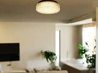 LED Dekenleuchte Adele D40cm Lichtfarbe wechselbar