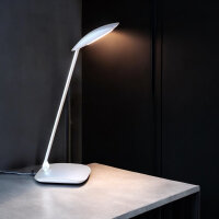 LED Tischleuchte Kian silber Touchschalter USB Anschluss