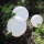3 x LED Solarleuchte Kugelleuchte-Lampe Ola mit Erdspieß Licht-Leuchtkugel  3 x 20 cm