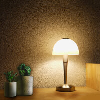 Glas-Tischleuchte MORITZ Nachttisch-Wohnzimmer Lampe Fenster-Deko-Leuchte