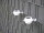 LED Solar-Dachrinnenleuchte Set Zaunbeleuchtung Solarlampe-Haus-Terassen-Balkon 2er Set
