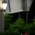 Solarleuchte LED-Außen-Wandleuchte Jolin mit Sensor Wandlampe Hausbeleuchtung