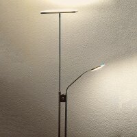 LED-Stehleuchte Loren LED-Deckenfluter mit...