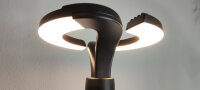 LED Stehleuchte Haag schwarz 160cm