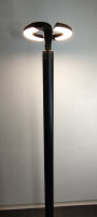 LED Stehleuchte Haag schwarz 160cm