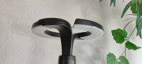 LED Stehleuchte Haag schwarz 160cm