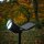 Solar Gartenstrahler Nelis mit 8LED 120lm Solarleuchte Bodenstrahler Spotlight 1 x Stück