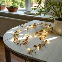 LED Lichterkette Brown Pearl 20 flammig warmweiß Innen
