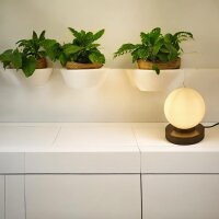Glas-Tisch-Leuchte MILO Nachttisch-Fensterbank-Deko-Lampe Nickel Opalglas weiß