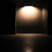 LED Außenwandleuchte Yukon 1