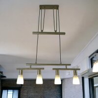 Decken-Pendel-Leuchte ZARA 2 x 2 flg. mit Gegenzug Esszimmer-Lampe