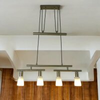 Decken-Pendel-Leuchte ZARA 2 x 2 flg. mit Gegenzug Esszimmer-Lampe