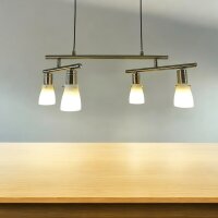 Decken-Pendel-Leuchte ZARA 2 x 2 flg. mit Gegenzug Esszimmer-Lampe