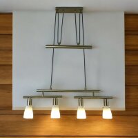 Decken-Pendel-Leuchte ZARA 2 x 2 flg. mit Gegenzug Esszimmer-Lampe