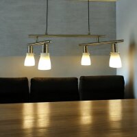 Decken-Pendel-Leuchte ZARA 2 x 2 flg. mit Gegenzug Esszimmer-Lampe