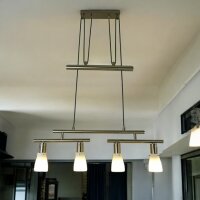 Decken-Pendel-Leuchte ZARA 2 x 2 flg. mit Gegenzug Esszimmer-Lampe