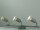 Halogen Strahlerserie Titan 3-4flg. Spot dreh schwenkbar Spotleuchte GU10-50Watt Dreiflammig