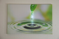 LED Leinwandbild 3D Wandbild m. Beleuchtung Bild 40x60cm Wanddekoration LED-Bild Blatt