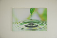 LED Leinwandbild 3D Wandbild m. Beleuchtung Bild 40x60cm Wanddekoration LED-Bild Blatt