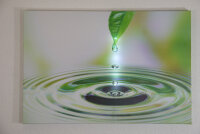 LED Leinwandbild 3D Wandbild m. Beleuchtung Bild 40x60cm Wanddekoration LED-Bild Blatt