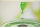 LED Leinwandbild 3D Wandbild m. Beleuchtung Bild 40x60cm Wanddekoration LED-Bild Blatt