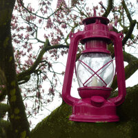 LED Solar Laterne Rola mit LED flackernd Solarleuchte Dekolampe Gartenleuchte beerenfarben