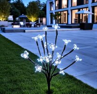 LED Solar Stick Flower klar 20 flg. Gartenbeleuchtung...