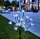 LED Solar Stick Flower klar 20 flg. Gartenbeleuchtung Blütenstrauch Solarleuchte