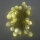 LED Solar-Lichterkette diverse Dekoration-Garten-Beleuchtung Solarleuchte Lampe Pearls