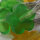 LED Solar-Lichterkette diverse Dekoration-Garten-Beleuchtung Solarleuchte Lampe Blume bunt