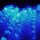 Lichterkette Eiszapfen 10 LED batteriebetrieben Weihnachtsbeleuchtung Tischdeko LED-blau
